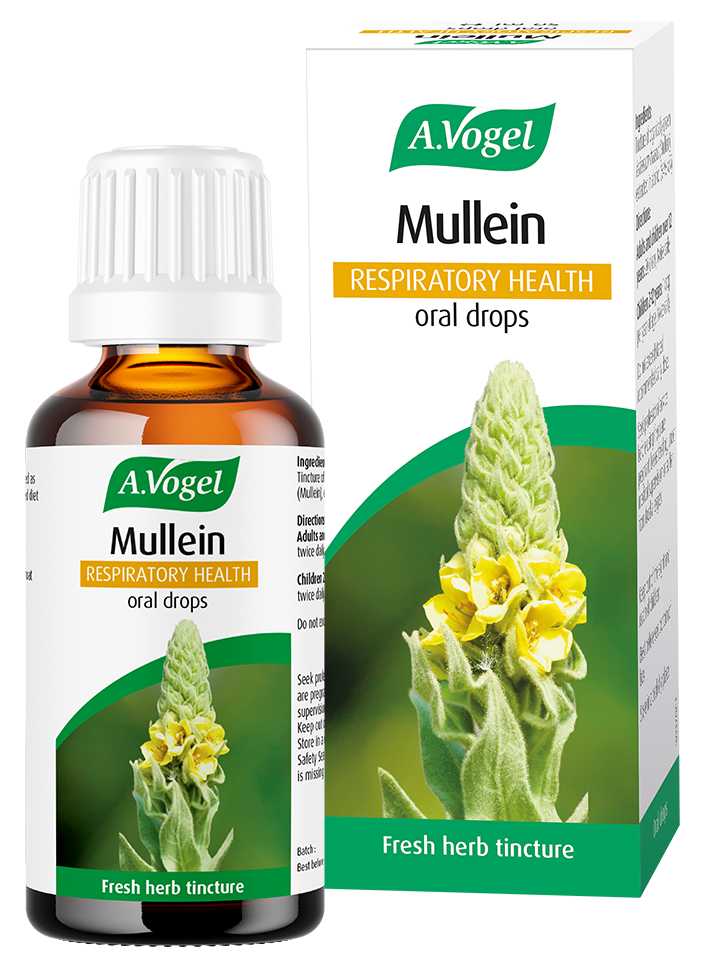 A. Vogel Mullein Oral Drops