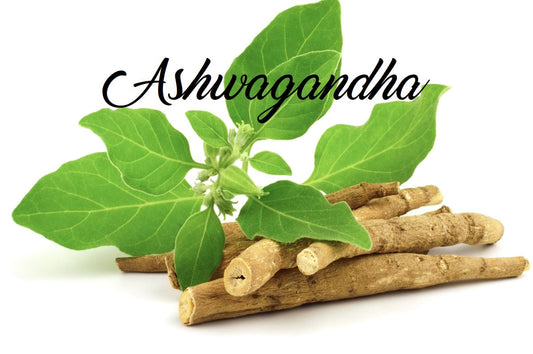 Ashwagandha benefits