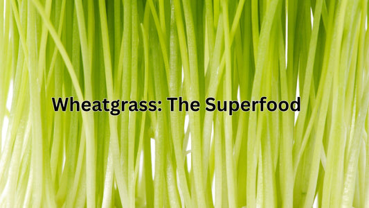 Wheatgrass: The Superfood