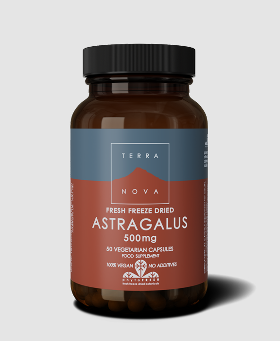 Terra Nova Astragalus 500mg