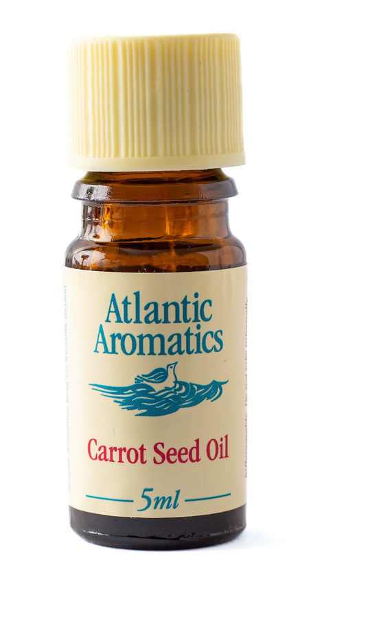 Atlantic Aromatics Carrot Seed Oil