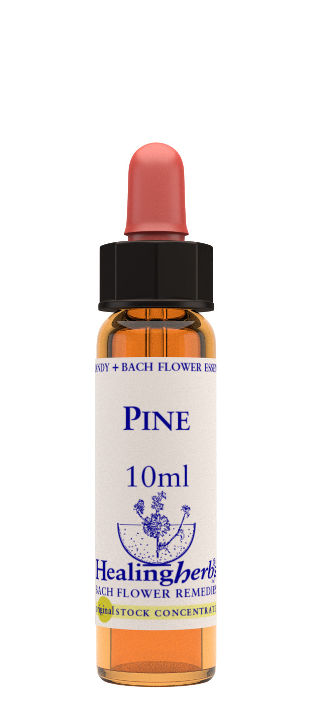 Healing Herbs Bach Pine (10ml)