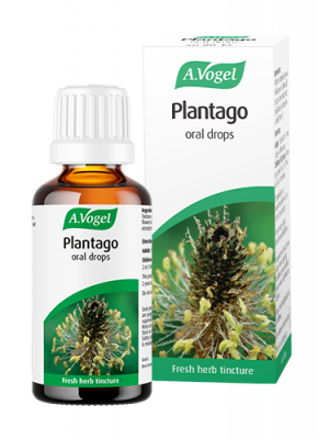 A. Vogel Plantago (50ml)