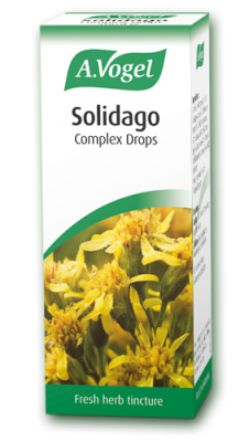 A. Vogel Solidago Complex (50ml)