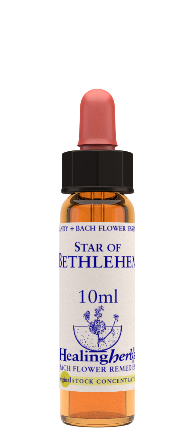 Healing Herbs Bach Star of Bethleham (10ml)