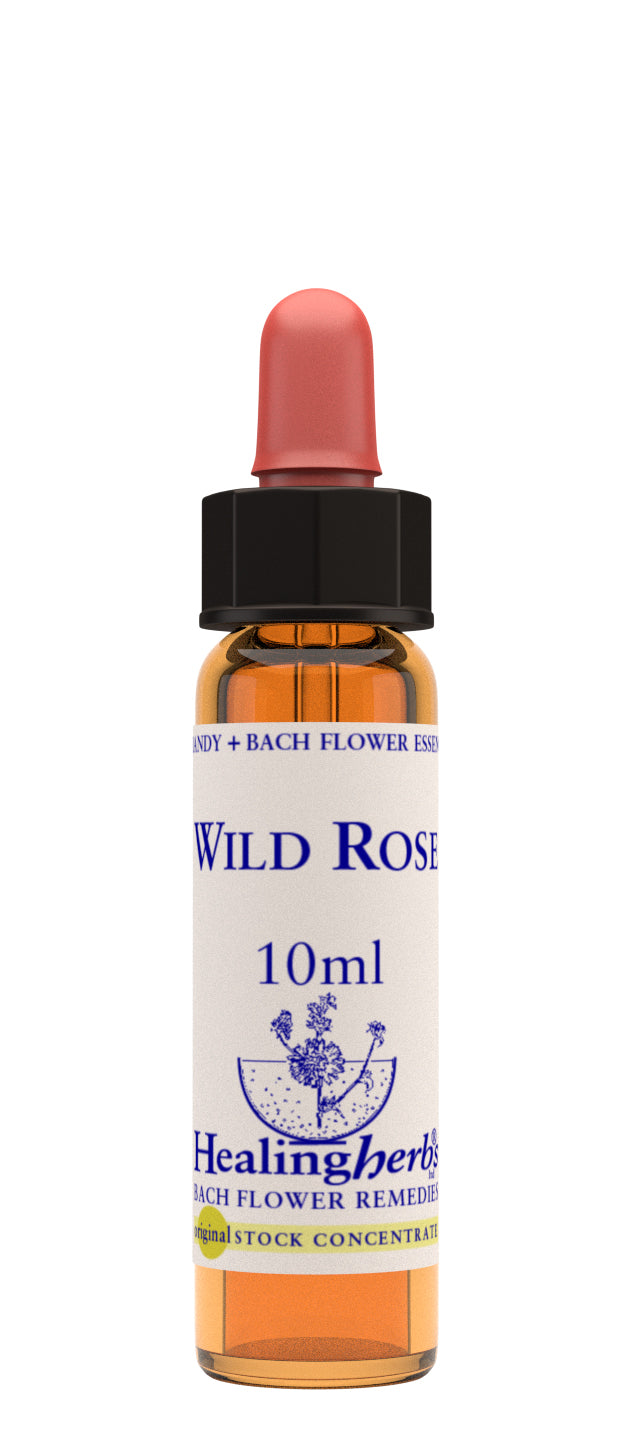 Healing Herbs Bach Wild Rose (10ml)