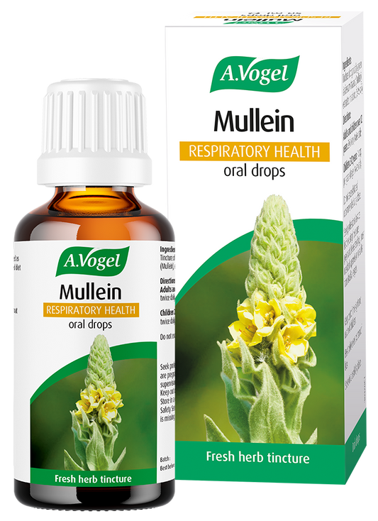 A. Vogel Mullein Oral Drops